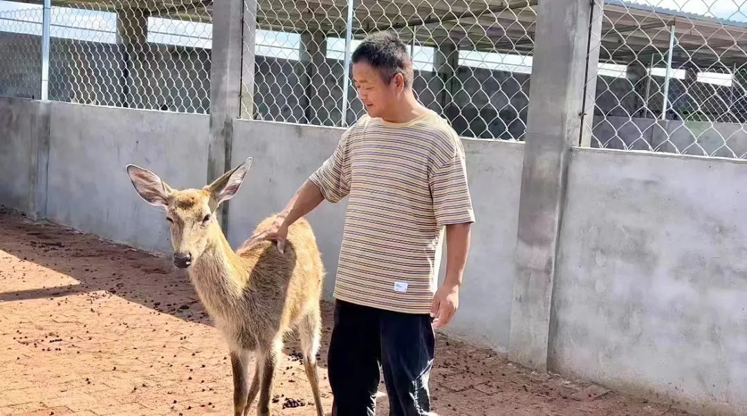 8455网站